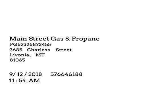 Gas Petrol Receipt