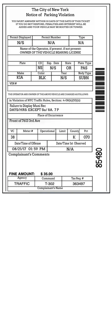 NYC Parking Ticket